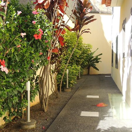 Studio Flat With Pool Funchal Dış mekan fotoğraf